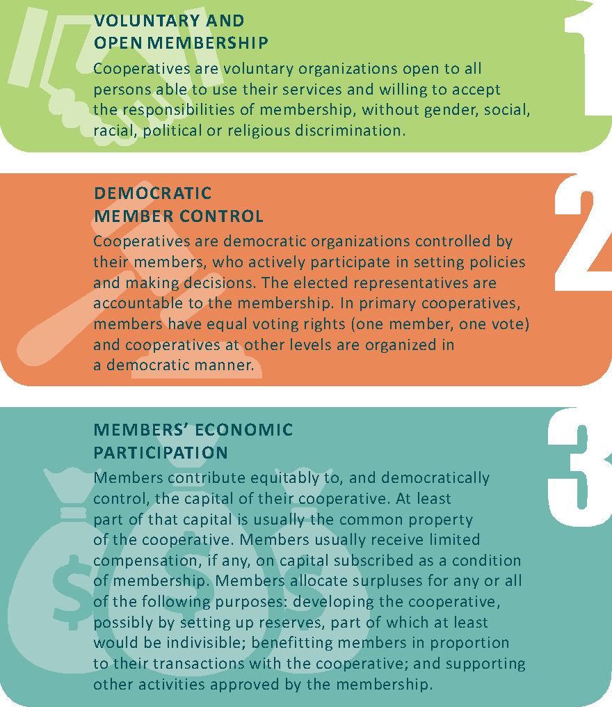 1-3 Co-op Principles