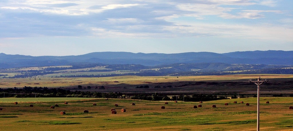 Clear Skies Landscape